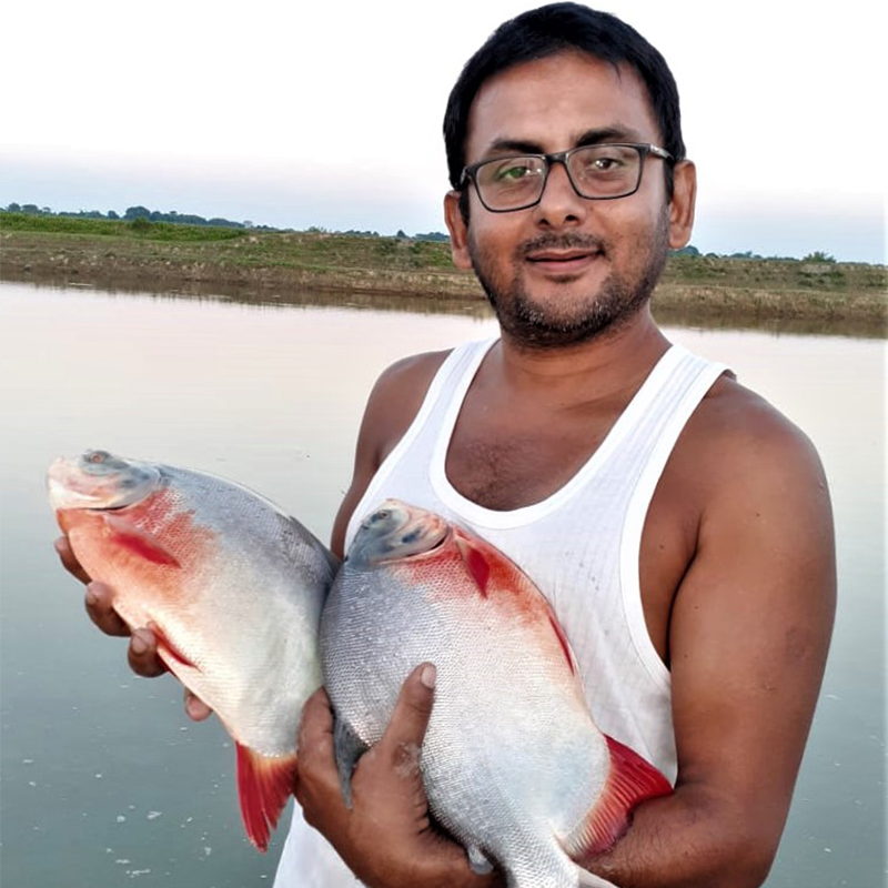 rupchanda fish